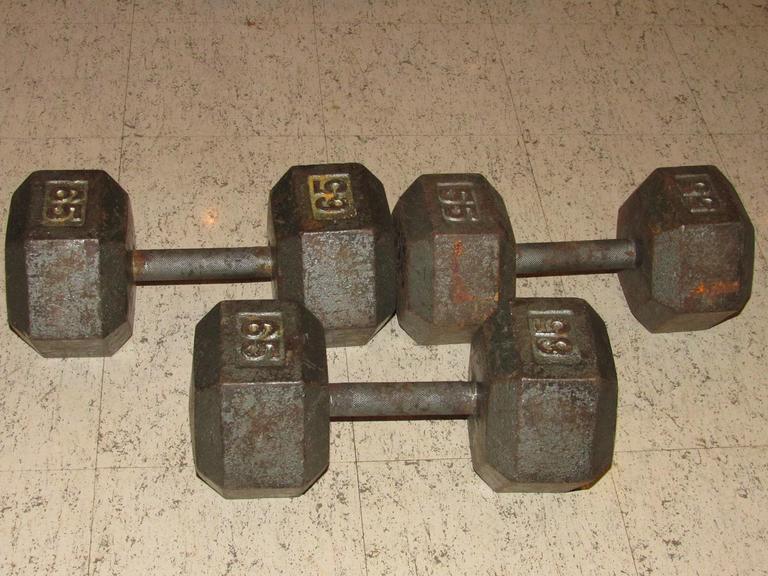 Auction Ohio Dumbbells