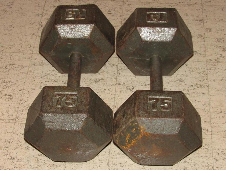 Auction Ohio Dumbbells
