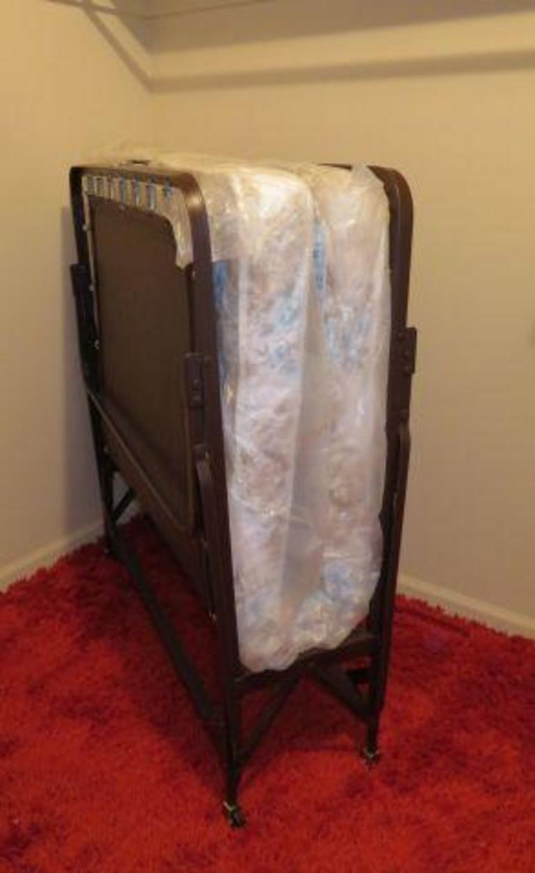 Auction Ohio Rollaway Bed