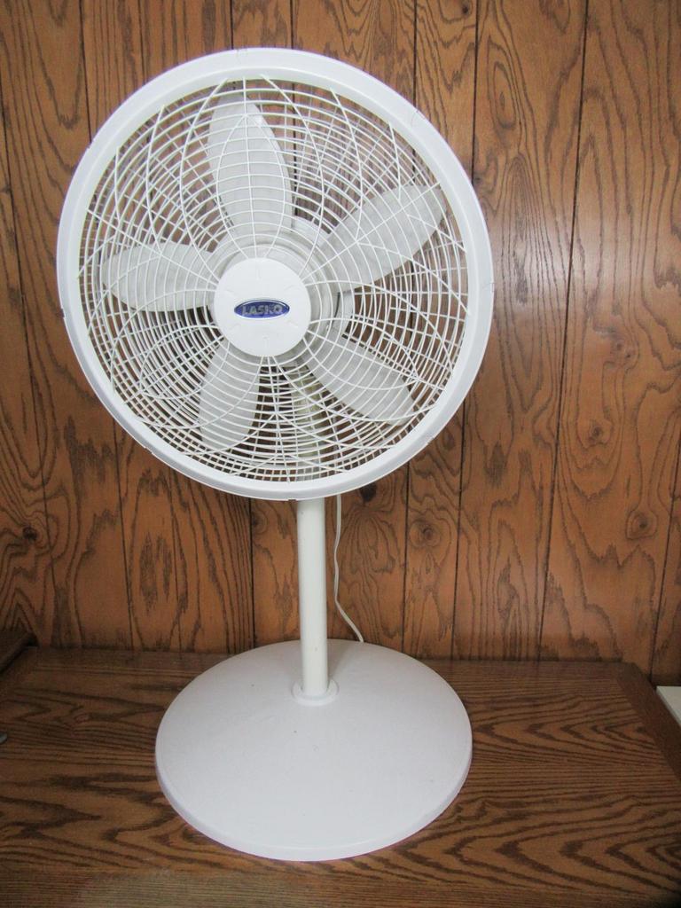 Auction Ohio Lasko Fan
