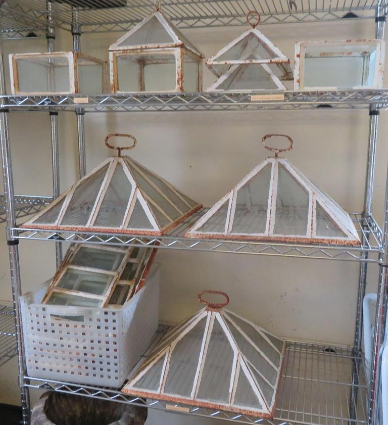 Auction Ohio Cold Frames