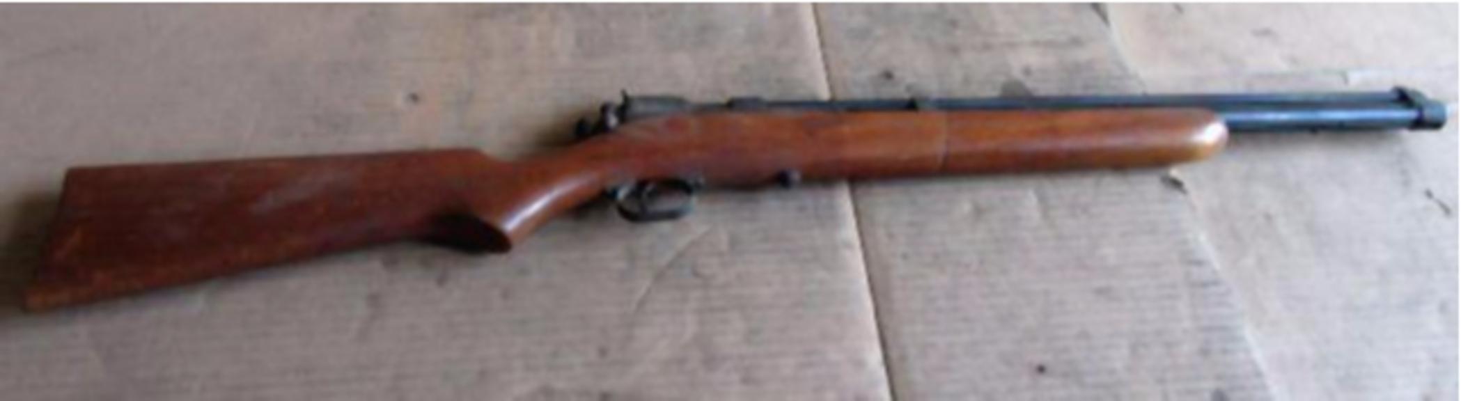 Auction Ohio Pellet Gun