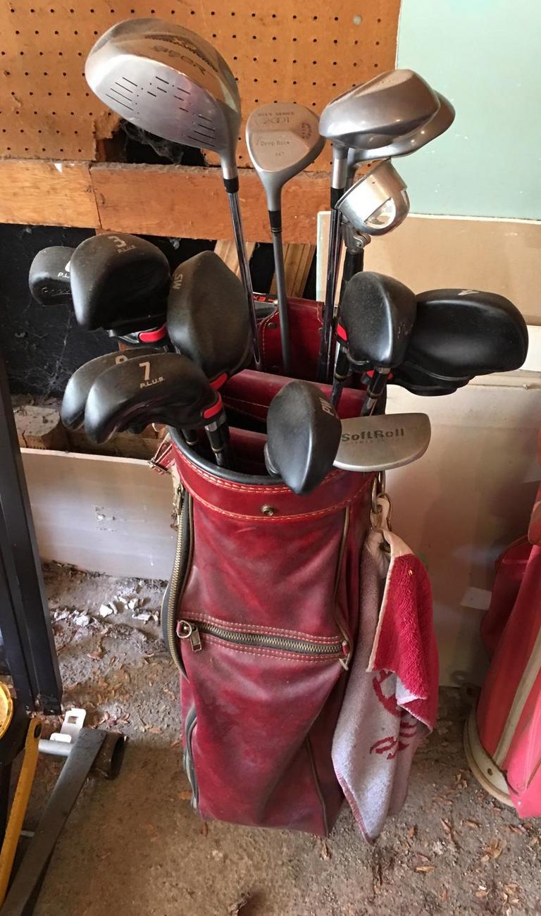 Auction Ohio Ladies King Cobra Golf Clubs