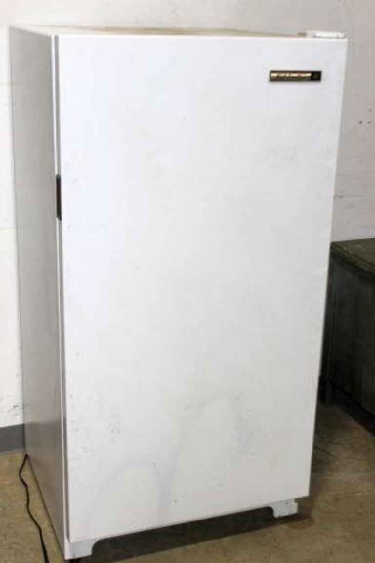 Kelvinator Freezer