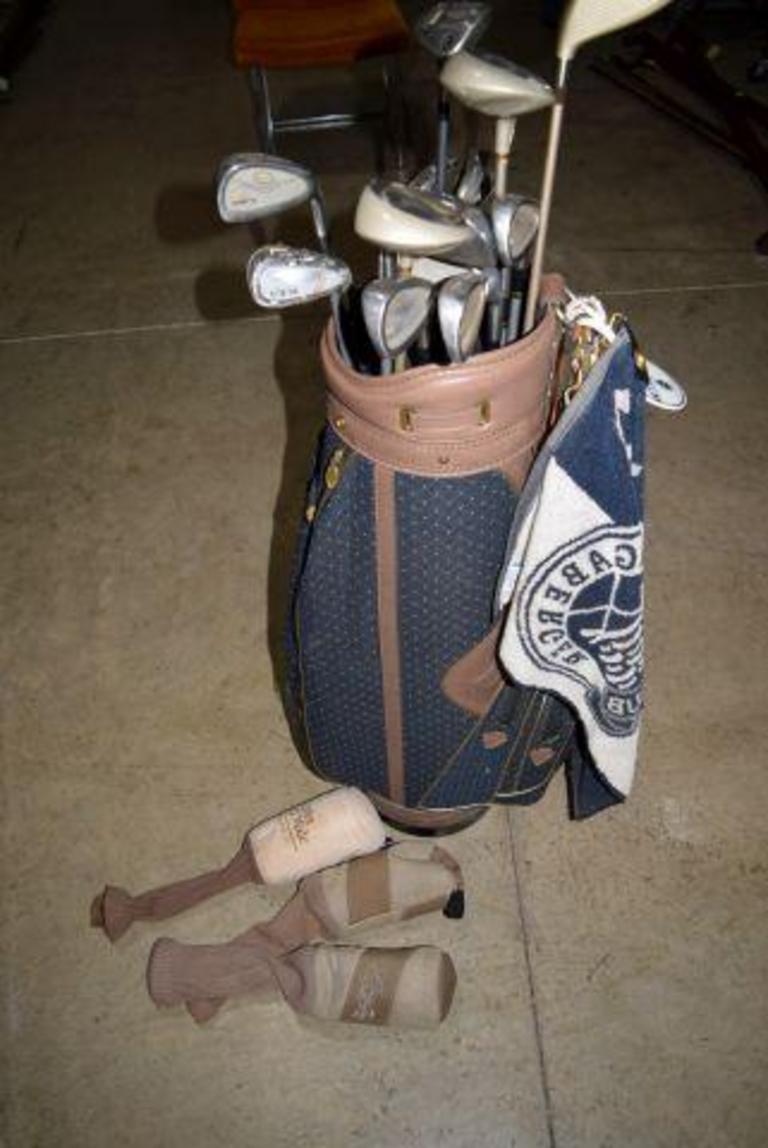 Auction Ohio Lady Cobra Golf Clubs