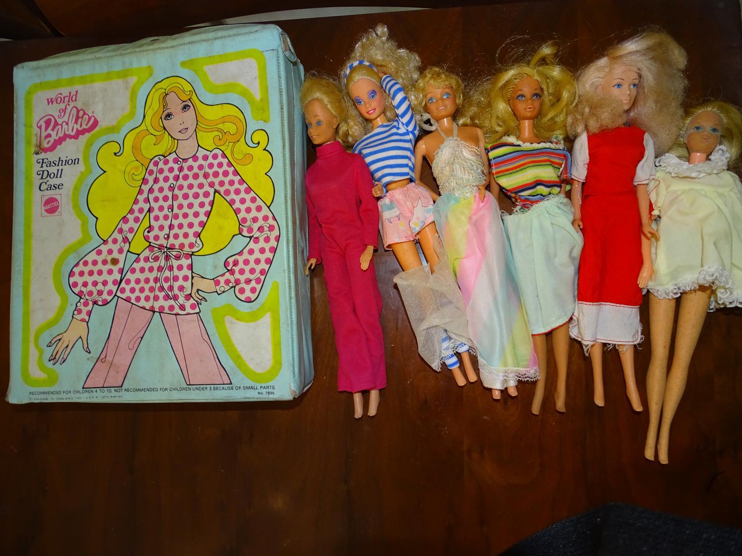 The world of discount barbie doll case