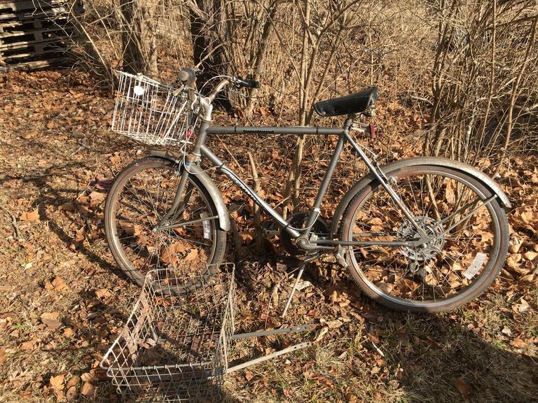 Auction Ohio Huffy Savannah Bicycle
