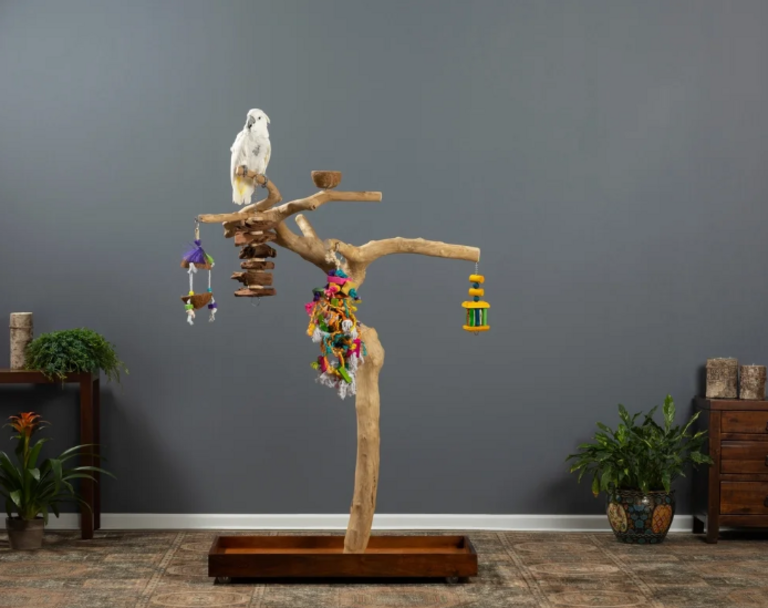 61"H COFFEAWOOD TREE PLAYSTAND