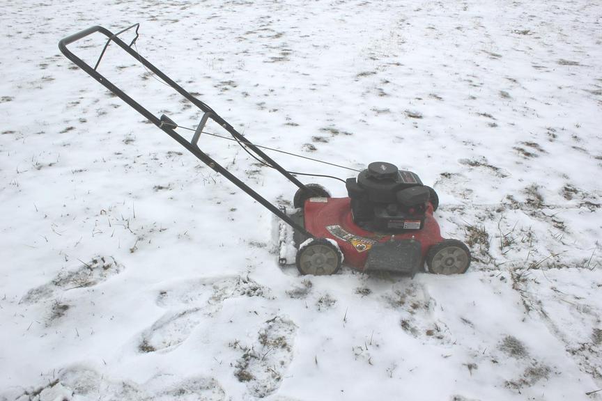 Auction Ohio MTD Push Mower