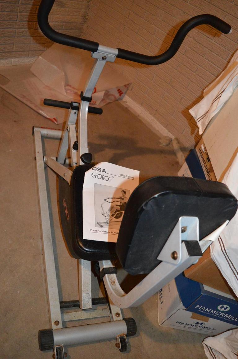 E force best sale cross trainer