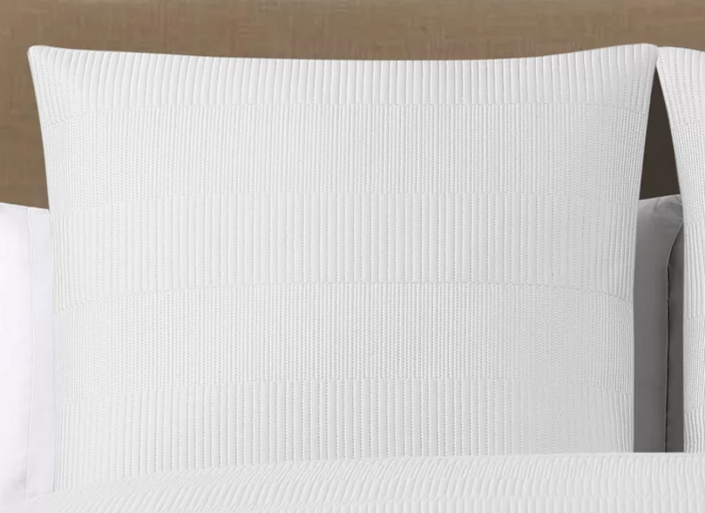 2-JAYLEN EURO PILLOW SHAMS