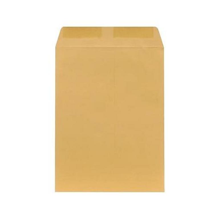 250 CATALOG ENVELOPES 9X12