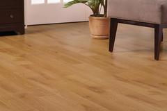 Auction Ohio Bid On Zipperbuy Com