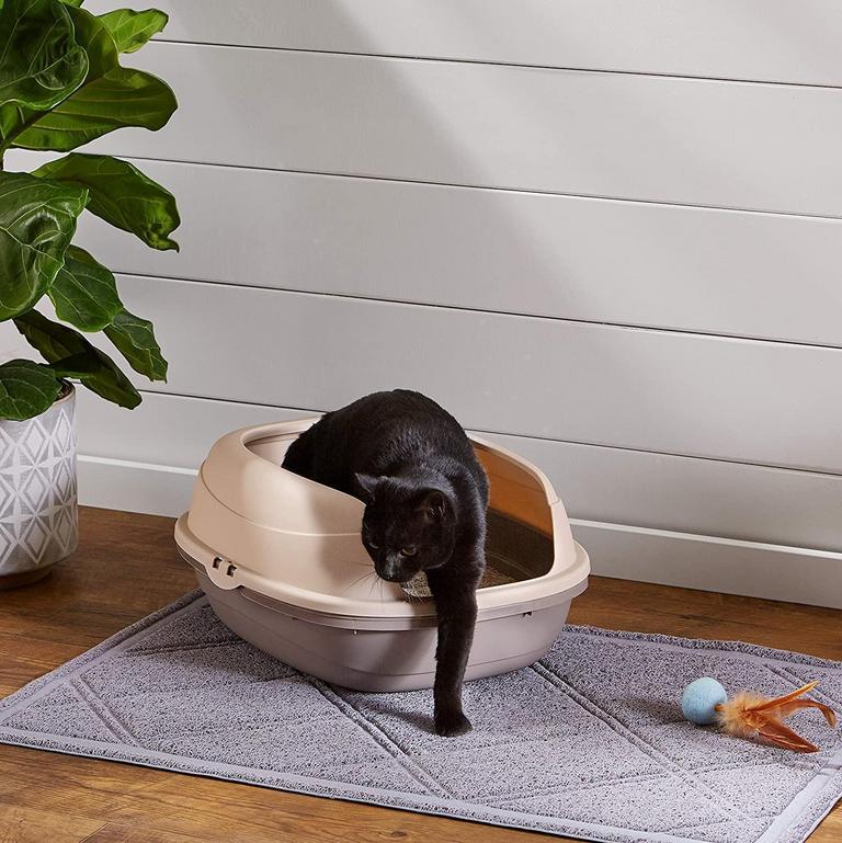 AMAZONBASICS CAT LITTER BOX