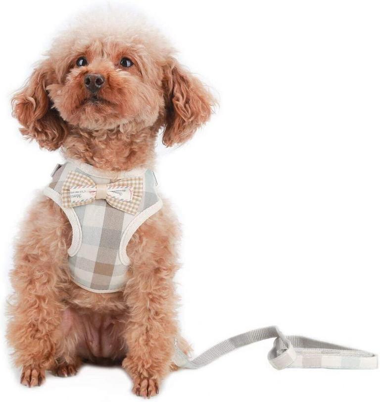 DOG HARNESS W/ LEASH, M