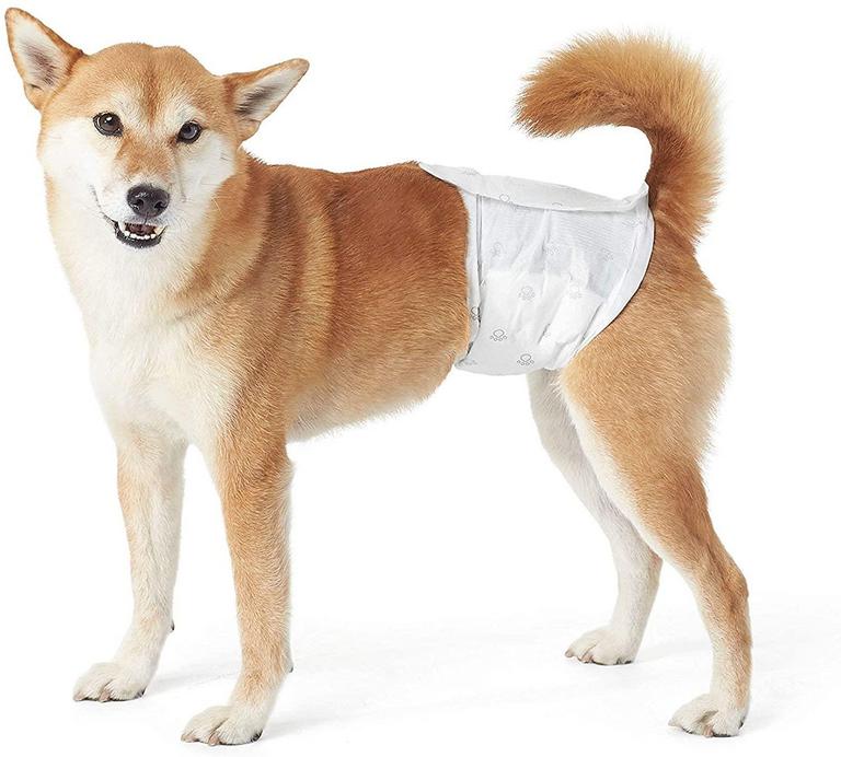 30CT DOG DIAPERS, M