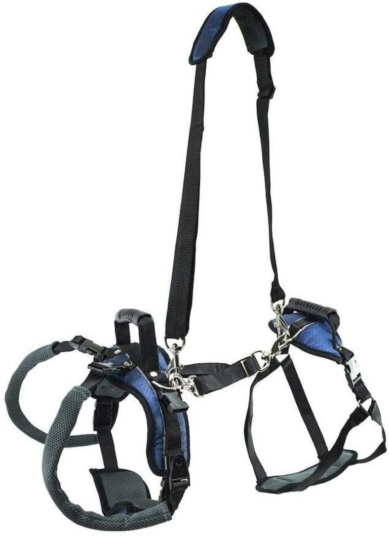LARGE DOG MOBILITY HARNESS