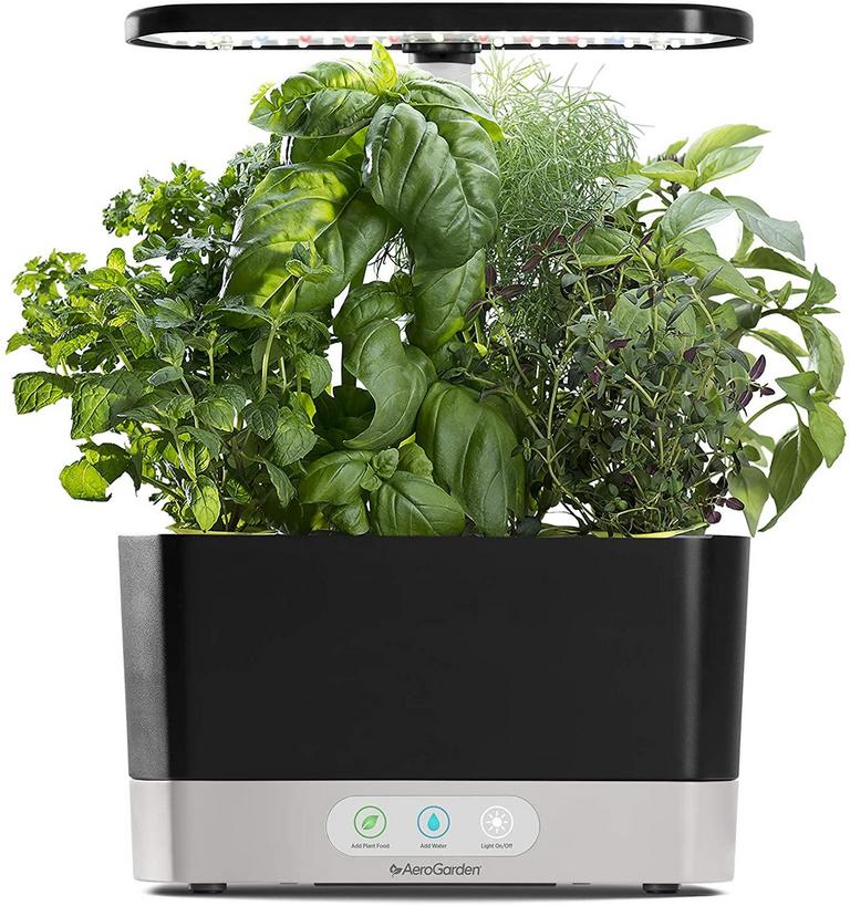 INDOOR HYDROPONIC GARDEN
