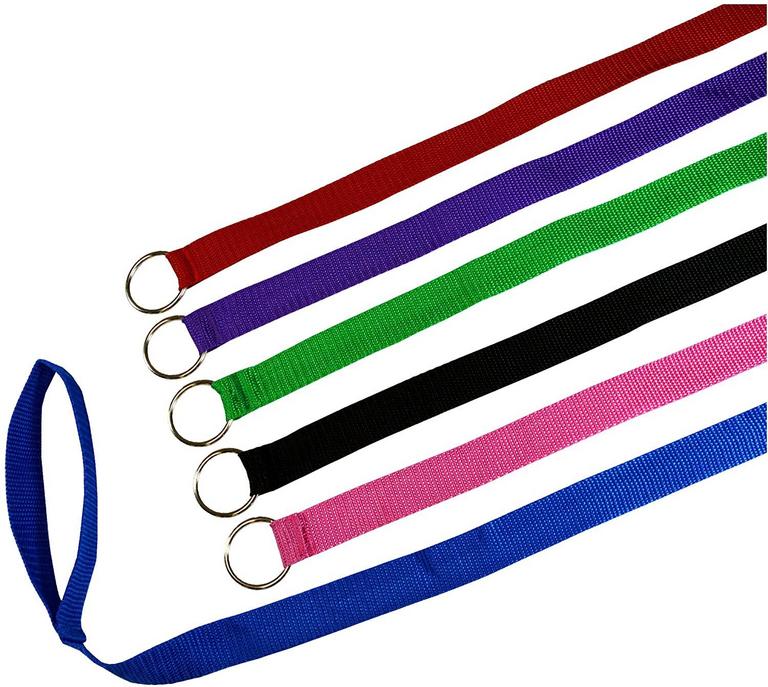 120 PET SUPPLY 5' SLIP LEADS