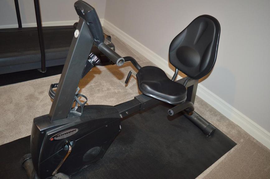 Schwinn 207p sales recumbent bike