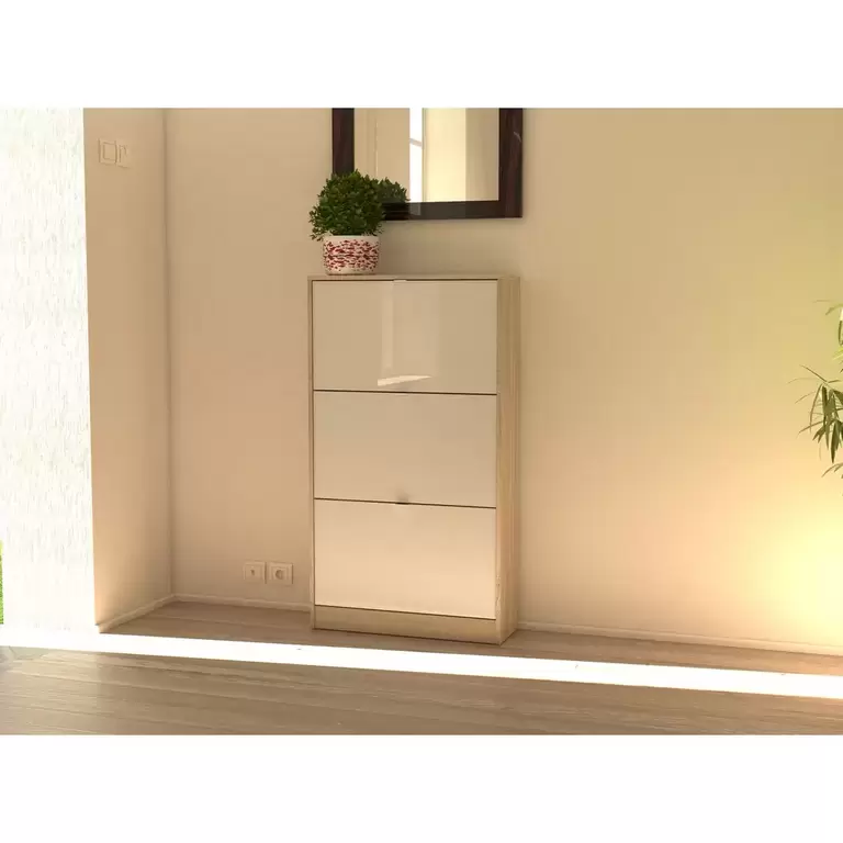 3 FLAP DOORS SHOE CABINET