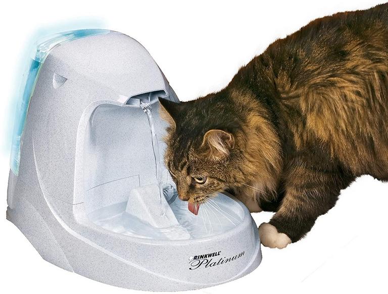 PET WATER FOUNTAIN