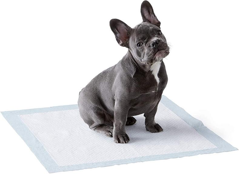 100 DOG TRAINING PADS 22"X22"