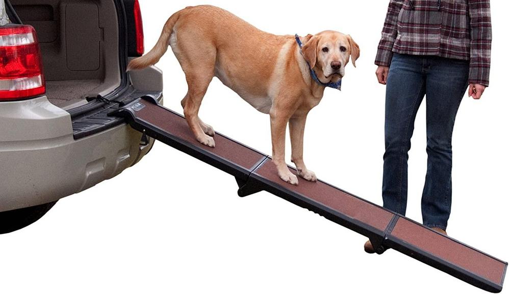 PET GEAR FULL LENGTH RAMP