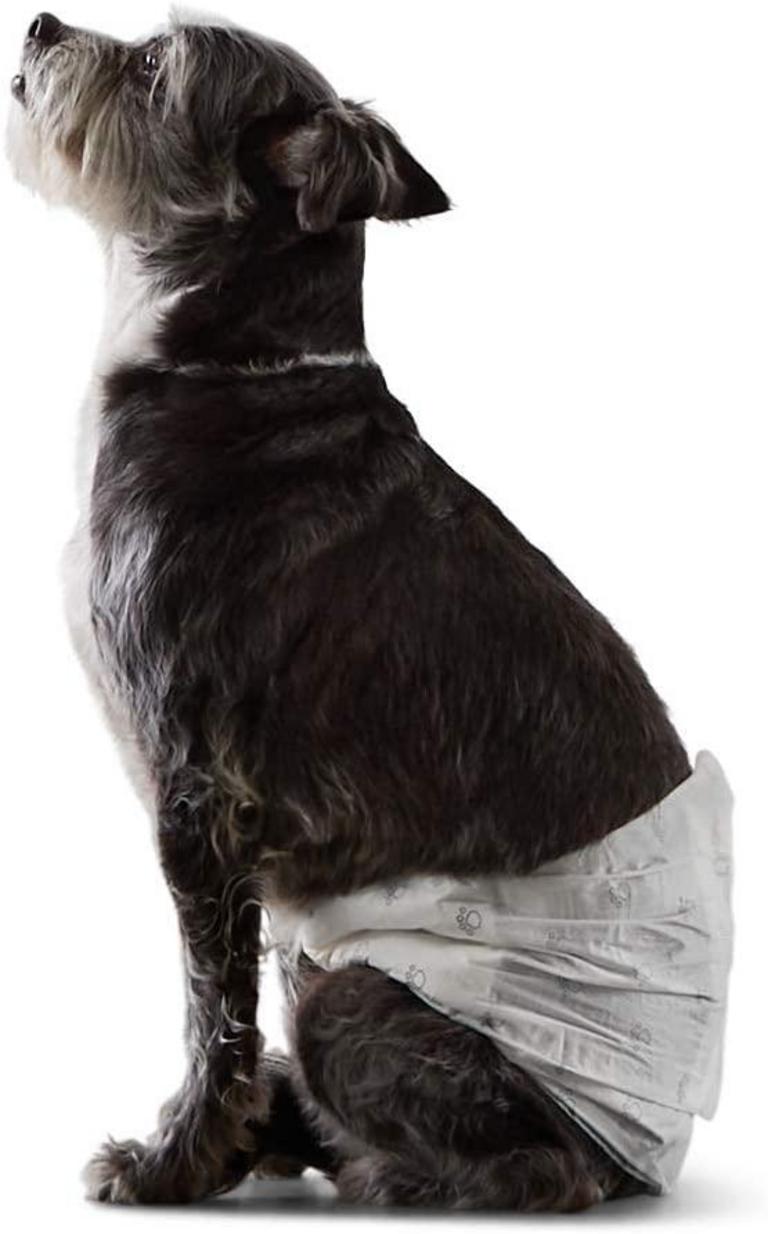 30 SMALL MALE DOG WRAPS