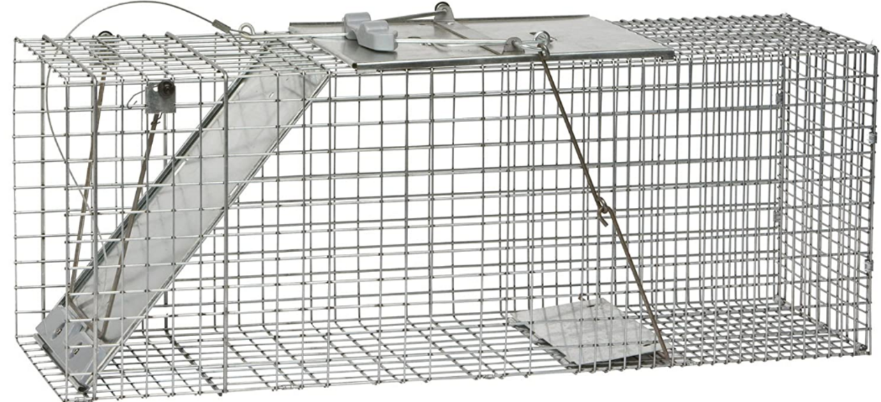 HAVAHART ANIMAL TRAP
