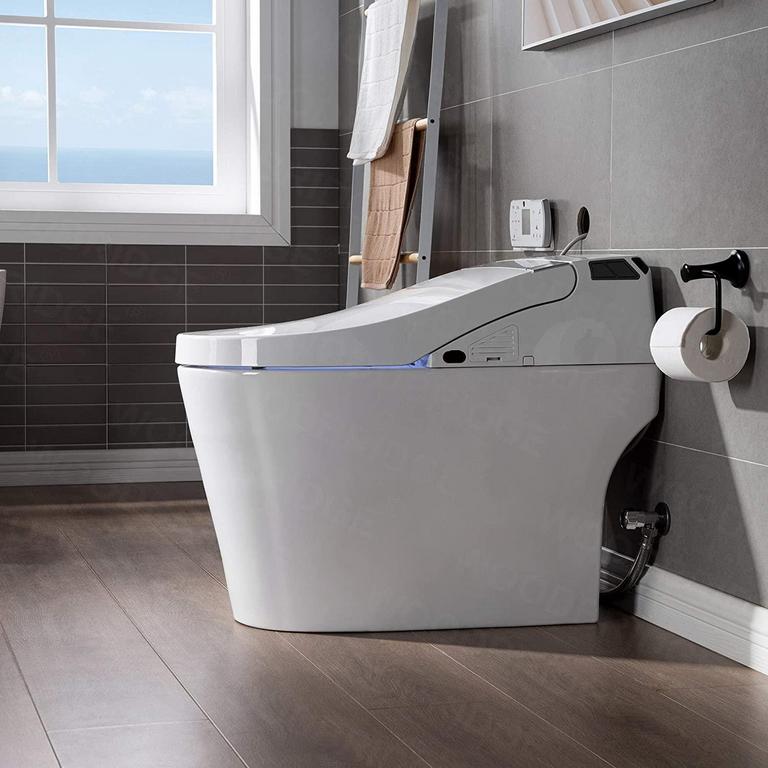 SMART BIDET TOILET