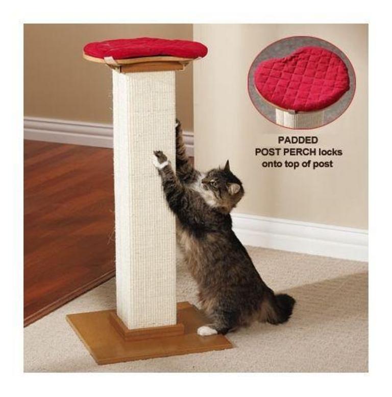 CAT SCRATCH POST & PERCH