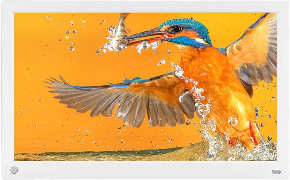 MRQ 19 X 11" DIGITAL FRAME