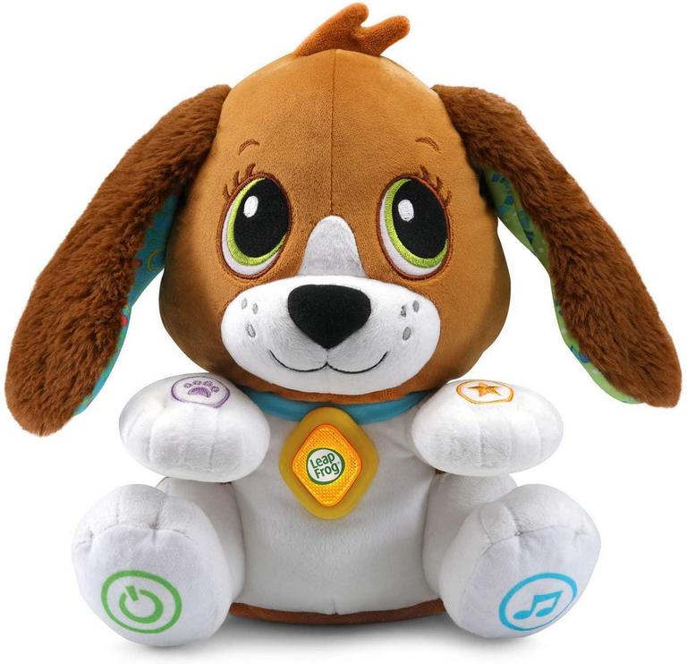 BAILEY SPEAK & LEARN PUPPY
