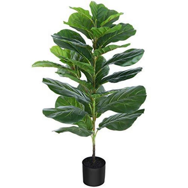 CROSOFMI 37'' LYRATA PLANT