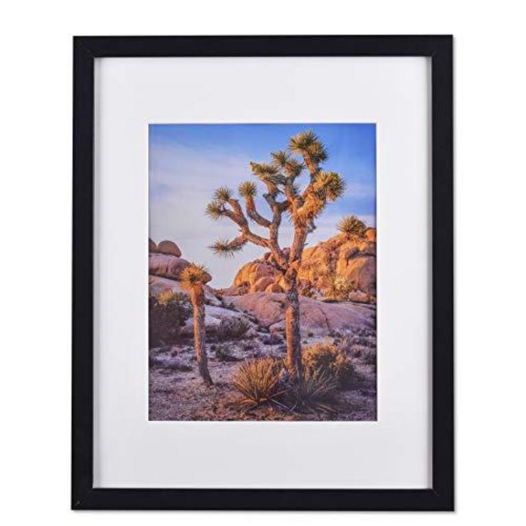 A PLUS MAX 20''X24'' FRAME