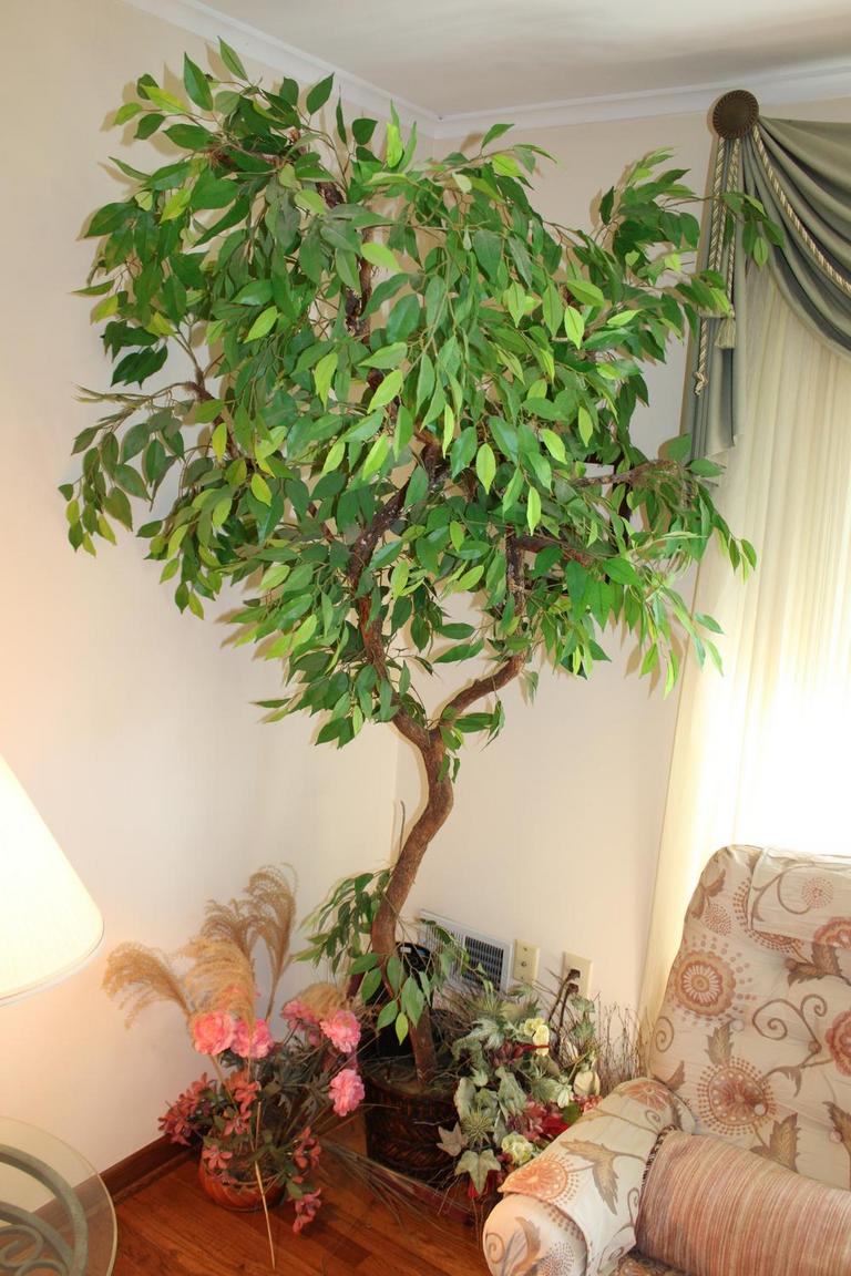 Auction Ohio Ficus Tree & Silk Floral
