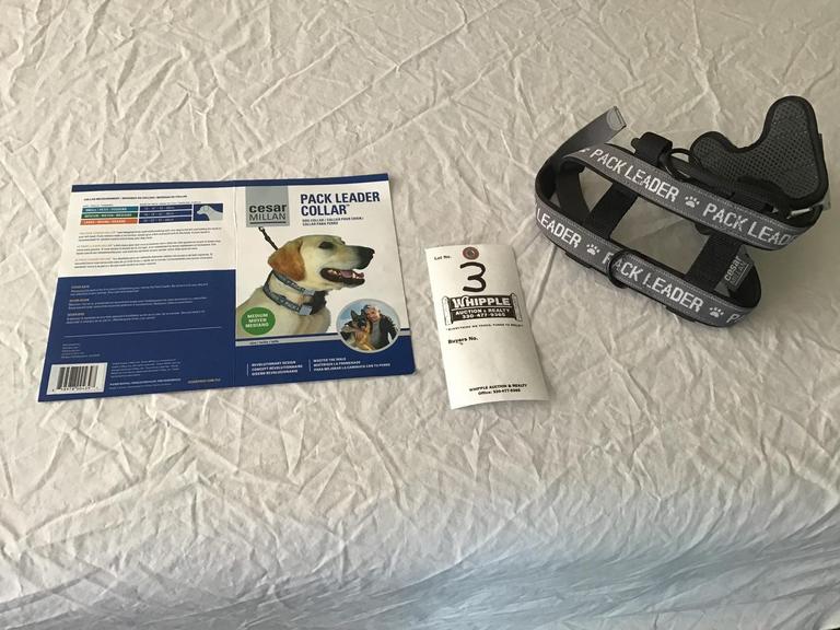 Auction Ohio Cesar Millan "Pack Leader" Collar