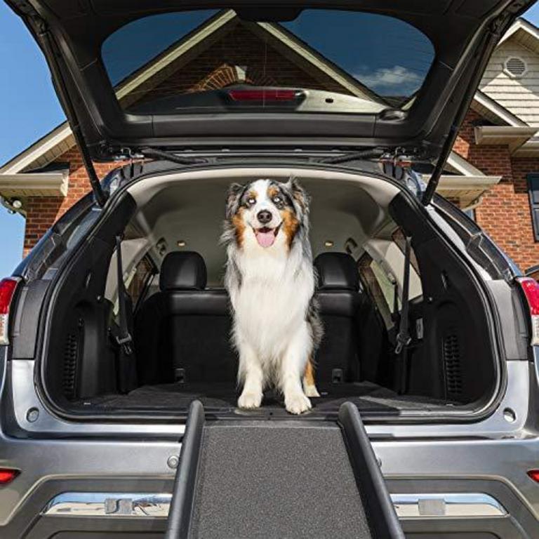 PETSAFE PET RAMP