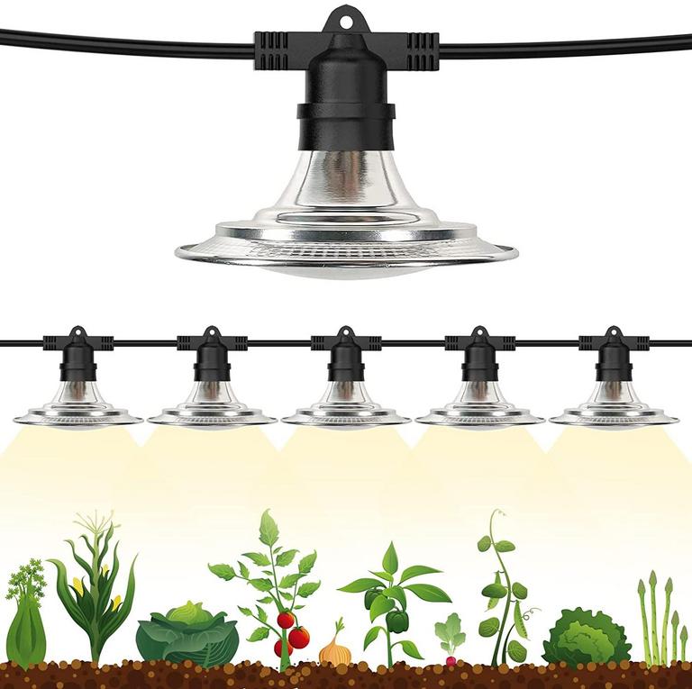 GREENHOUSE STRING LIGHTS