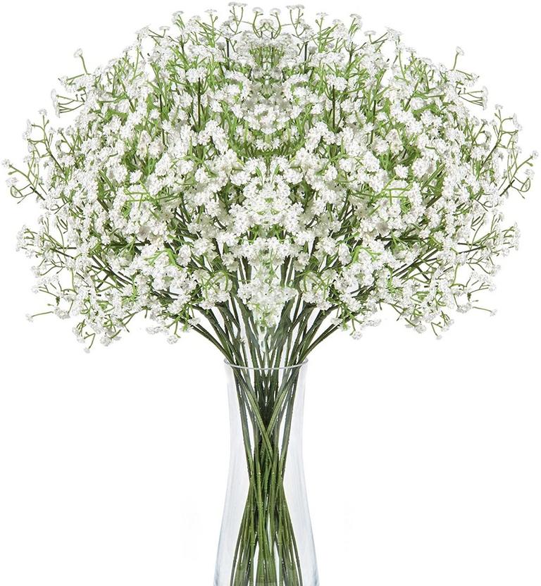 BABY'S BREATH FLOWERS