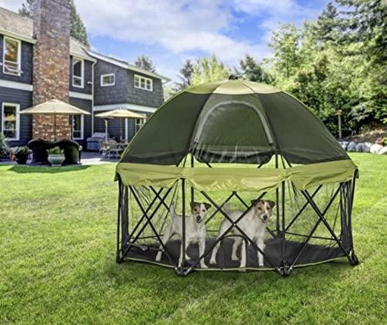 CARLSON PET PRODUCTS PLAYPEN