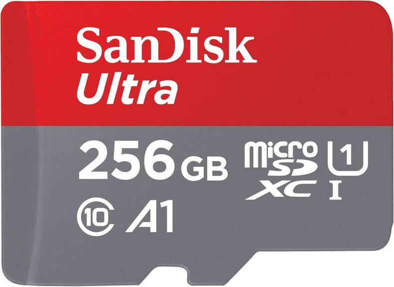 SANDISK 256GB MICROSD CARD