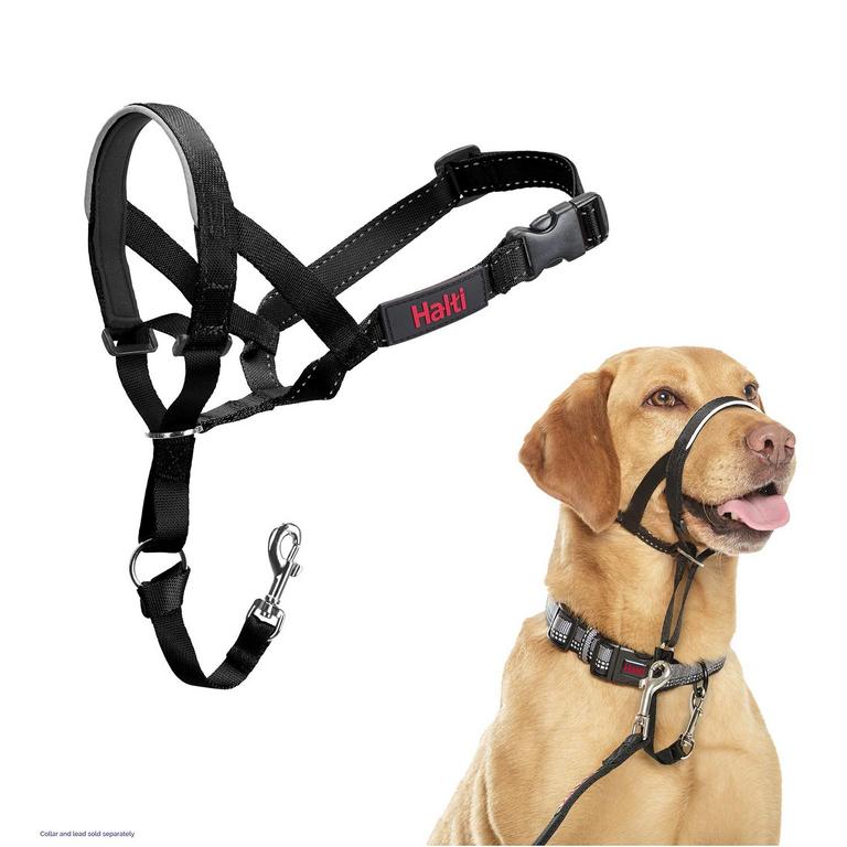 HALTI DOG HEADCOLLAR
