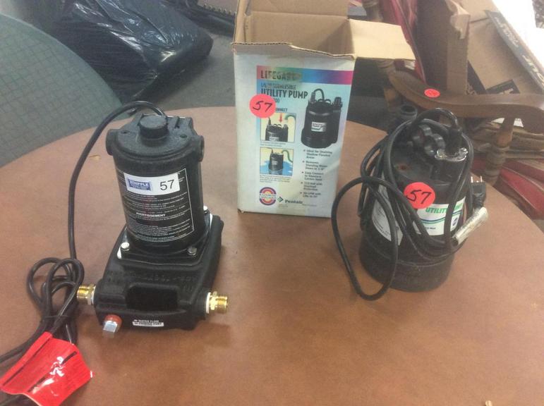 Auction Ohio Utility pumps (2)