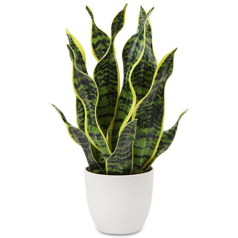 FAUX SNAKE PLANT