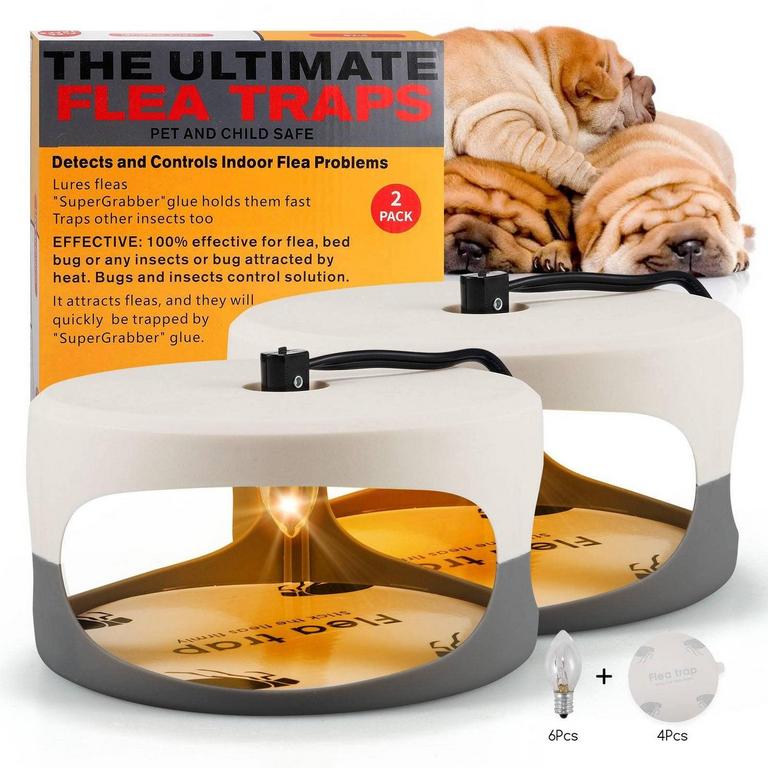 2PK INDOOR FLEA TRAPS