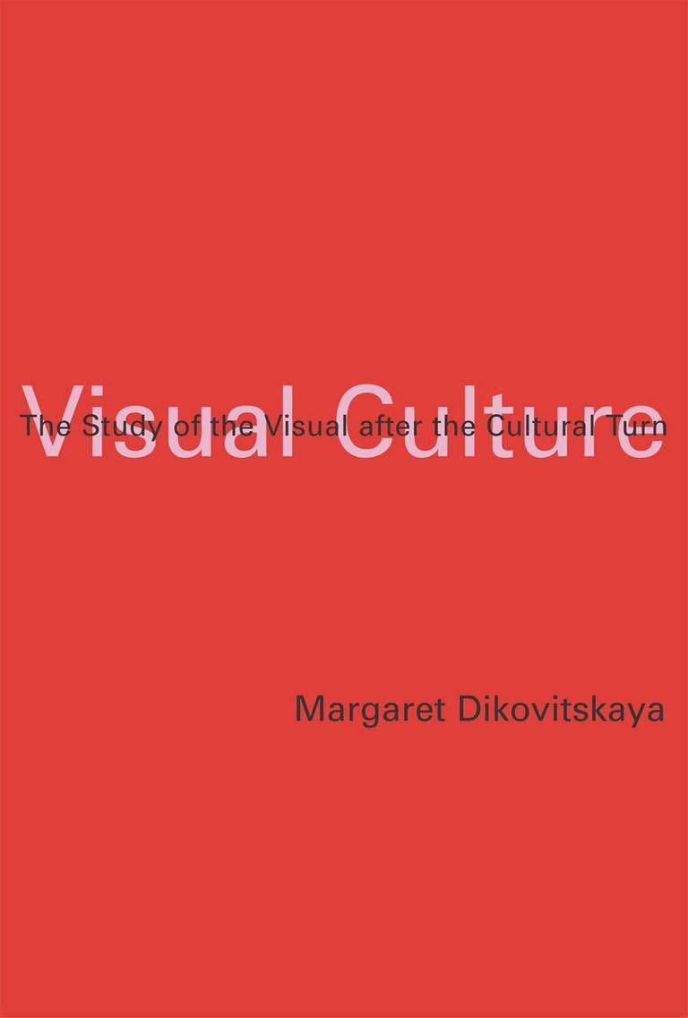 VISUAL CULTURE STUDY BOOK