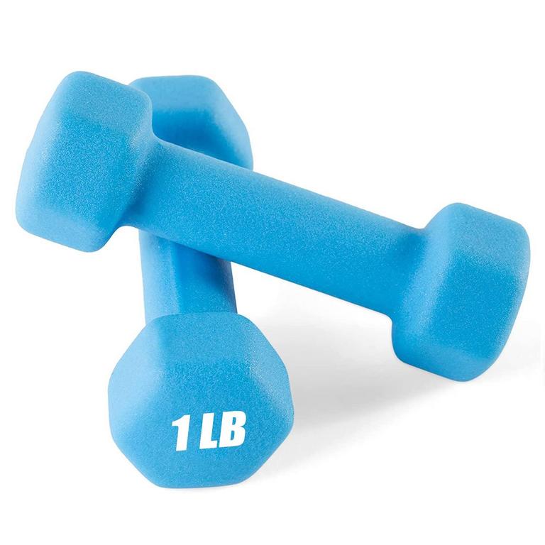 PORTZON BLUE DUMBBELLS