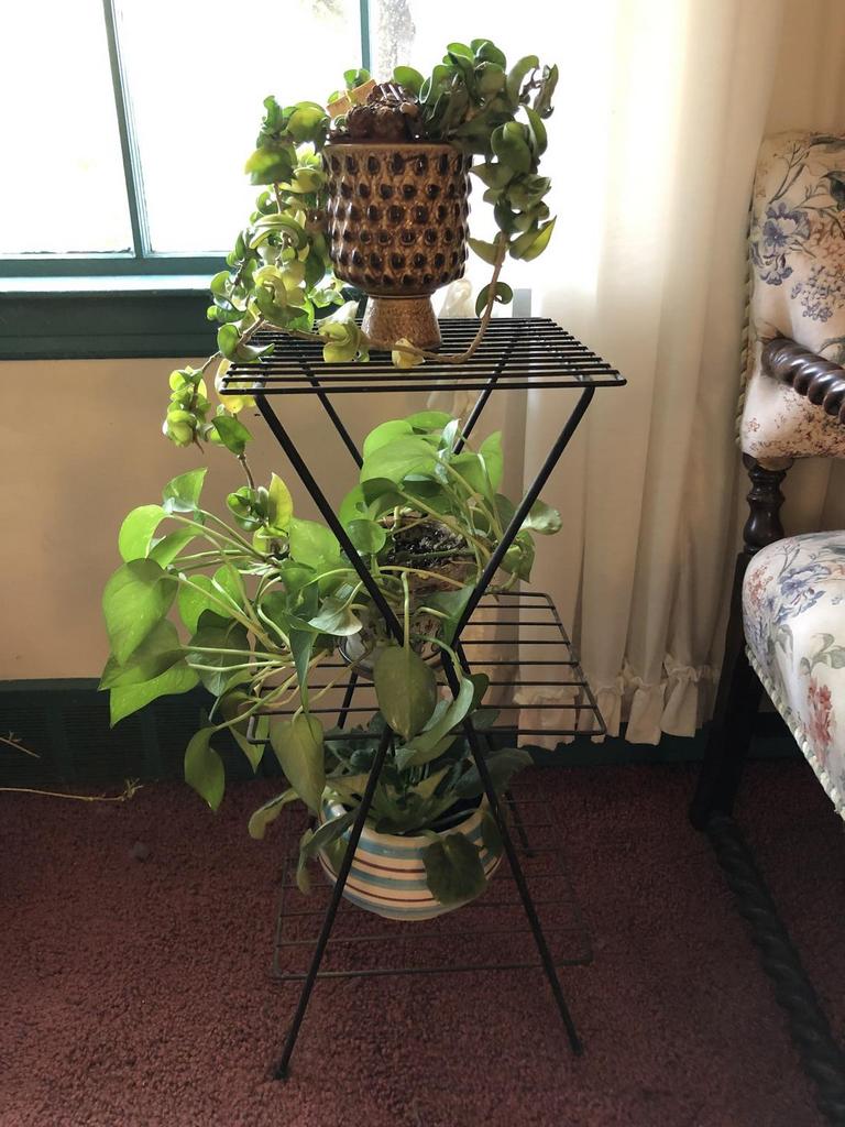 Auction Ohio Vintage Plant Stand & Plants